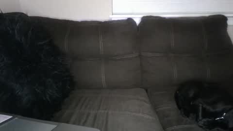 Snapshot of amiri_sweater chatting on 03/02/25, 11:39 amiri_sweater online show from 03/02/25, 11:39