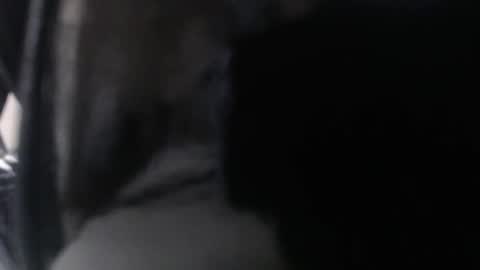 miss unforgettable online show from 03/24/26, 11:15