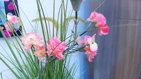 amy__wats0n online show from 03/17/26, 07:17