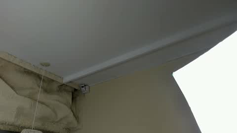 amy online show from 03/18/26, 12:08