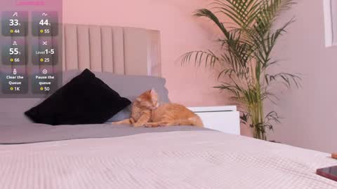 Ana Henao or Annie... Follow me ahenaocb Insta  X online show from 02/01/25, 12:40