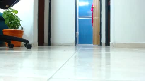 anaids online show from 01/01/25, 04:18