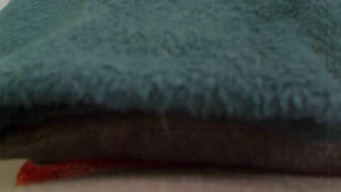 Snapshot of anaiserebel chatting on 01/04/25, 07:34 anaiserebel online show from 01/04/25, 07:34