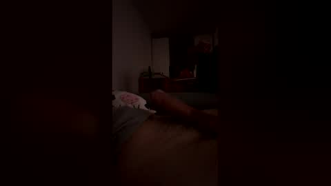 Snapshot of analpunisher2808 chatting on 03/12/26, 02:07 analpunisher2808 online show from 03/12/26, 02:07