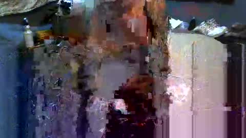 Snapshot of analwhore666 chatting on 02/16/25, 06:10 kinkylilanalslut online show from 02/16/25, 06:10