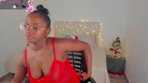 Snapshot of ananya_kay01 chatting on 12/05/24, 04:53 A N A my connection hours are from 600 pm to 12 pm Colombian time online show from 12/05/24, 04:53
