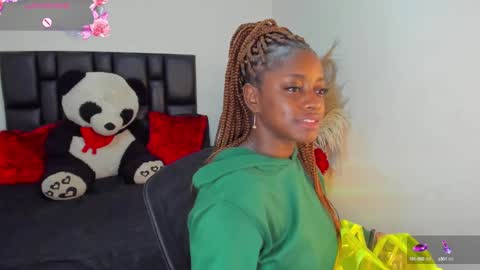 Snapshot of ananya_kay01 chatting on 03/01/25, 10:24 A N A my connection hours are from 600 pm to 12 pm Colombian time online show from 03/01/25, 10:24