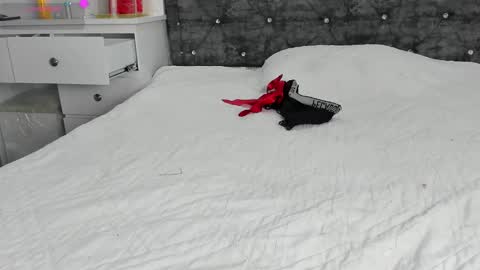  ANASTASIA DANGER  online show from 01/01/25, 04:18