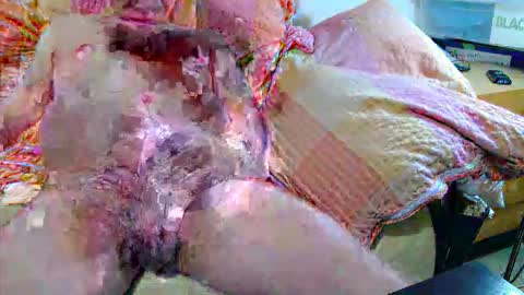 Andi online show from 11/20/25, 04:34