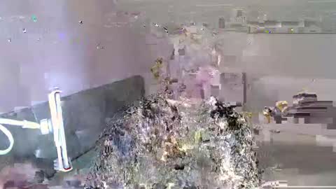 Andorphin online show from 01/06/25, 12:24