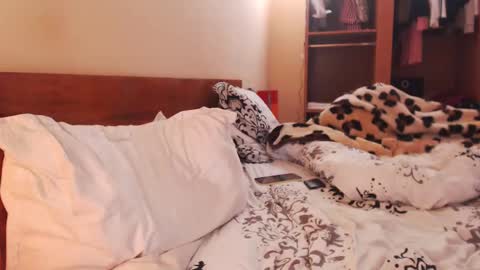 Andra online show from 01/27/25, 08:29