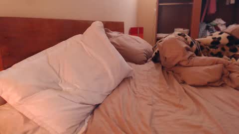 Andra online show from 02/06/25, 03:27