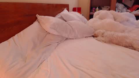 Andra online show from 03/09/25, 01:59