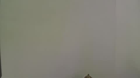 andres_stud online show from 10/13/25, 04:34