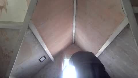 Andrew online show from 04/01/26, 01:23