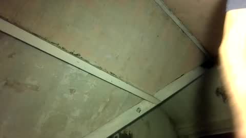 Andrew online show from 04/23/26, 12:12