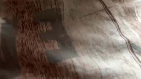 Zloy online show from 10/19/25, 08:37