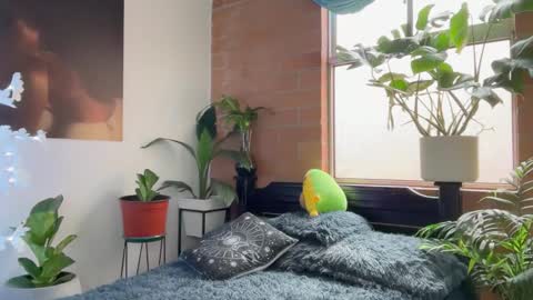 Andy online show from 02/05/26, 01:05