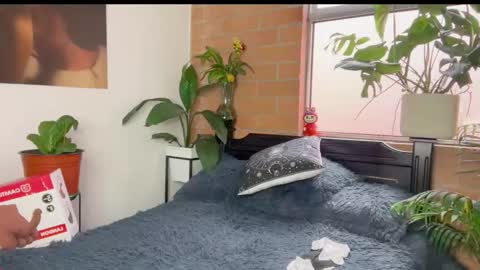 Andy online show from 03/11/26, 12:22