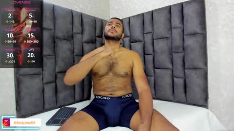 Snapshot of andyreed_ chatting on 12/28/24, 04:09 Andy online show from 12/28/24, 04:09