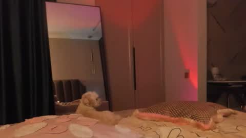 angel_andreww online show from 05/27/26, 06:16