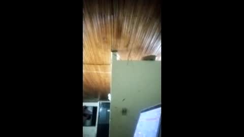 Angel dust9 online show from 02/03/26, 05:16