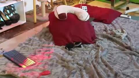 Angel online show from 03/12/25, 04:51