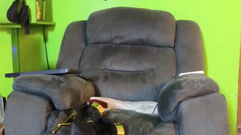 Angel online show from 02/18/26, 02:24