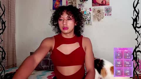   online show from 01/21/25, 02:43