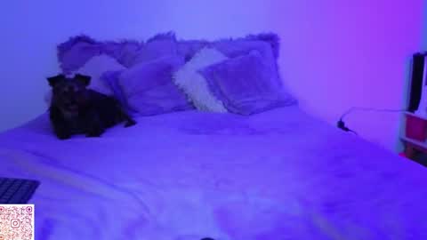 Angie Gomez  Onlyfans angie bigboobs FREE online show from 04/22/26, 11:28