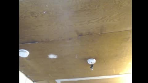 Ani online show from 02/25/25, 02:11