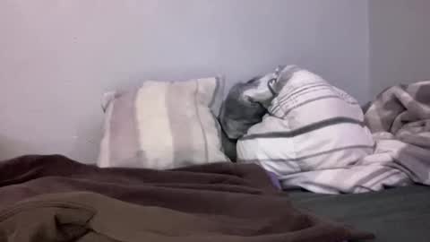 Animeboygirls online show from 01/10/25, 05:05