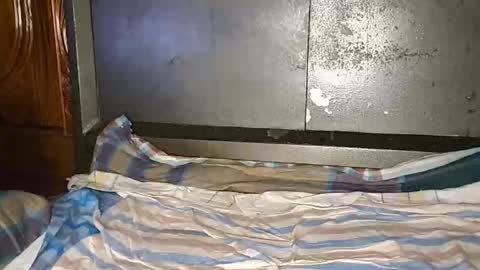 Snapshot of anis4551 chatting on 01/12/26, 08:14 anis4551 online show from 01/12/26, 08:14