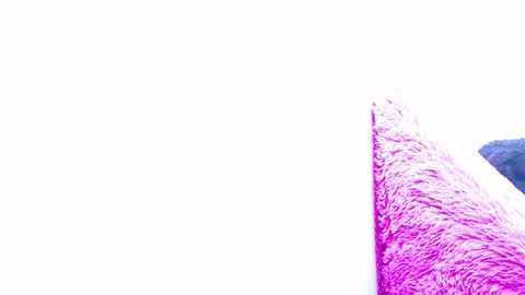 ana independent model online show from 01/15/25, 07:37