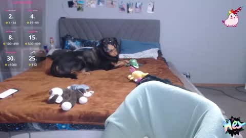 Anadirectgirl online show from 02/25/25, 07:03