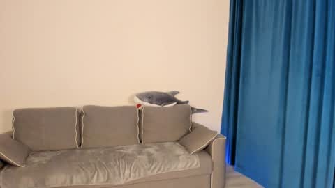 anna miuu online show from 12/05/24, 05:37