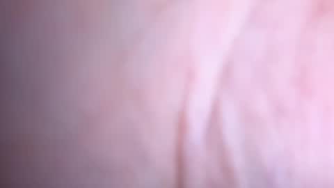 Snapshot of annaa__ chatting on 01/16/25, 02:41 annaa__ online show from 01/16/25, 02:41