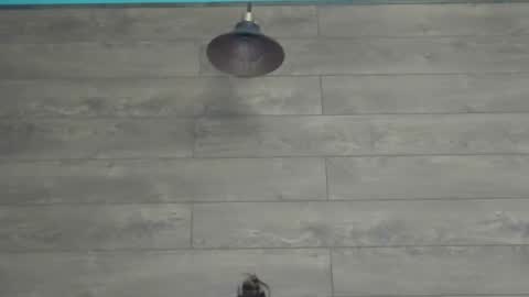 Snapshot of annasplash chatting on 03/12/25, 05:46 annasplash online show from 03/12/25, 05:46