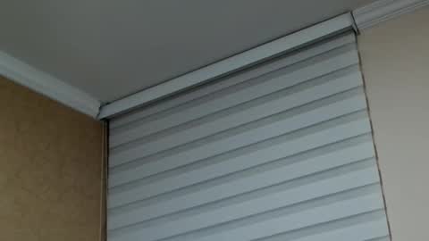       online show from 02/10/26, 01:53