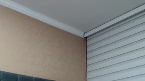       online show from 02/19/26, 01:01