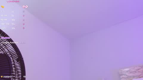 Snapshot of annflowers chatting on 01/11/25, 02:58 A N N E online show from 01/11/25, 02:58