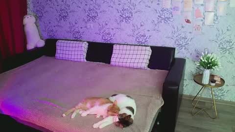 Annie online show from 12/16/24, 04:23