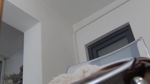 Anna online show from 12/02/24, 11:45