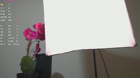 Snapshot of annybuny chatting on 09/13/25, 11:32 Ana online show from 09/13/25, 11:32