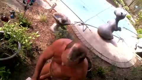 anoaklawnguy online show from 04/21/26, 06:55