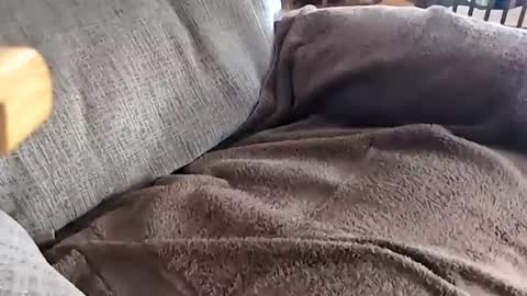 Snapshot of anonisme_54 chatting on 11/20/25, 04:18 jay online show from 11/20/25, 04:18