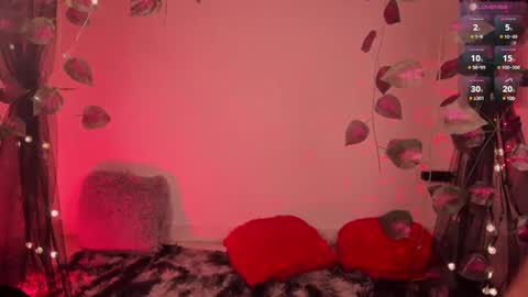 Jordan Mateo online show from 01/11/25, 03:44