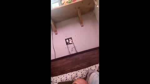 Snapshot of anthony9168 chatting on 03/25/26, 11:22 anthony9168 online show from 03/25/26, 11:22