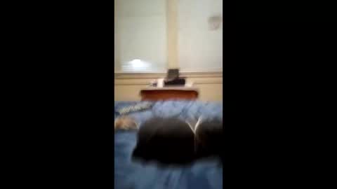 Snapshot of anthonymichael691973668762 chatting on 03/03/26, 07:14 anthonymichael691973668762 online show from 03/03/26, 07:14