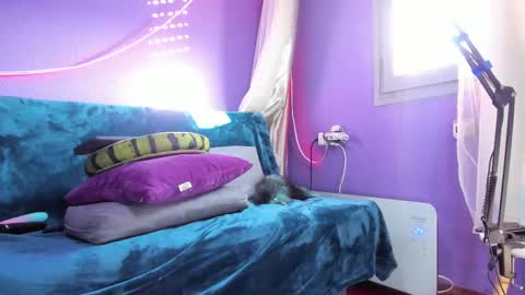 Snapshot of antofoxwbc chatting on 03/02/25, 08:05 Anto online show from 03/02/25, 08:05